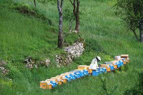 Beekeeper Api