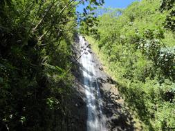 Manoa Falls Hawaii