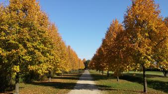 beautiful fall park