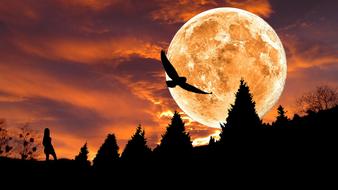 fantastic silhouettes against the moon
