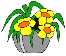 stone pot yellow flower children