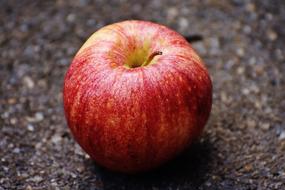 Apple Red Delicious