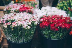 Farmers Market Flowers Florist