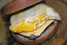 fresh egg sandwich