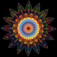 flamboyant geometric pattern