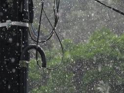 heavy rain in the woods