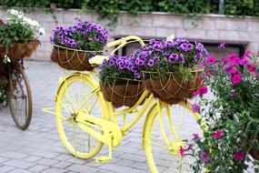 Bike Floral Dubai Miracle