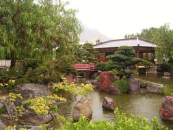 Garden Japanese