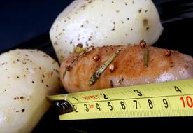 meat dish measurement