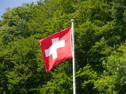 Switzerland Flag Swiss