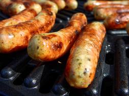 fried sausages in spices