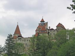 beautiful castle behind the trees