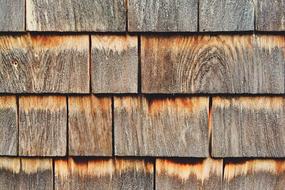 Wood Cedar Siding