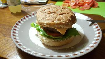 Burger Cheeseburger