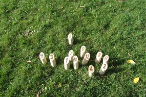 playing wooden poles on the grass