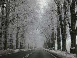 Winter Avenue Snow