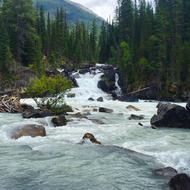 Nature River Wilderness