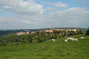 green meadow near the village