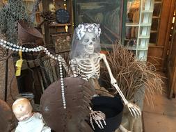the skeleton of a halloween woman