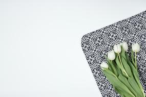 Flowers Tulips Model