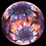 fractal floral flowers