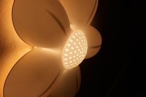 Light Flower