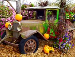 Truck Pumpkins Flowers