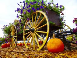 Flowers Wagon Pumpkin