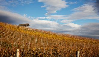 Autumn Landscape Chapel
