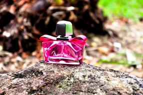 perfume pink fragrant