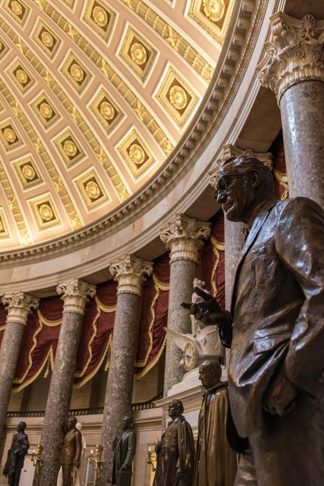 bronze statue on the background of columns