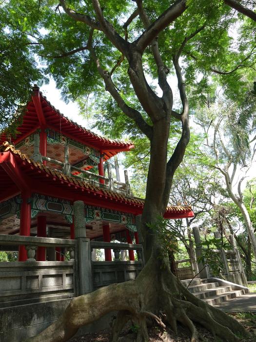 Cool Booths Trees Green 灣 Lake