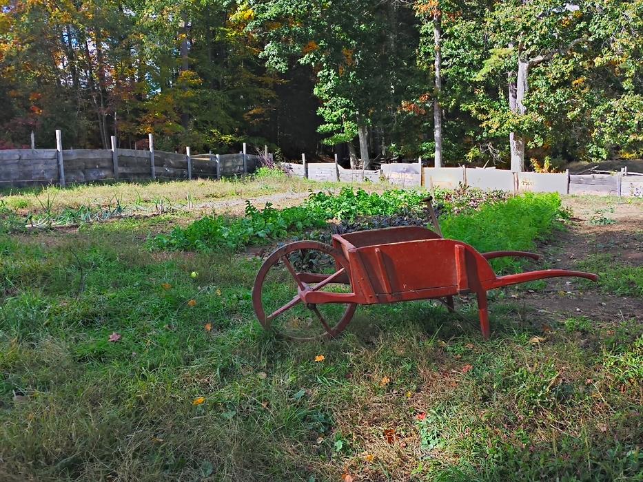 Garden Wheelbarrow