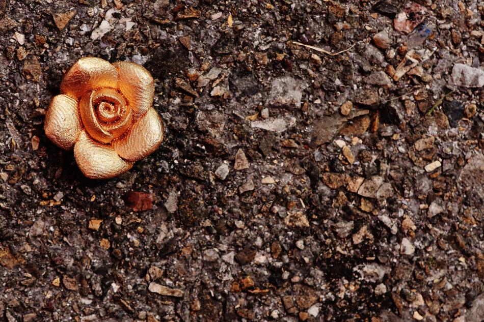 Rose Gold Blossom
