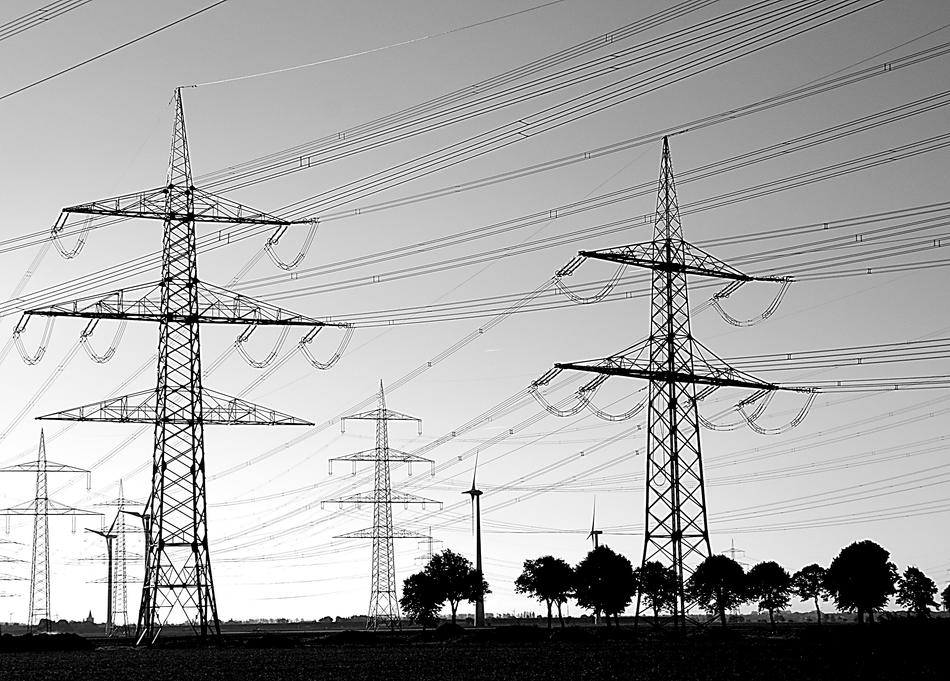 Black and white landscape with the power poles, on the field, with the trees