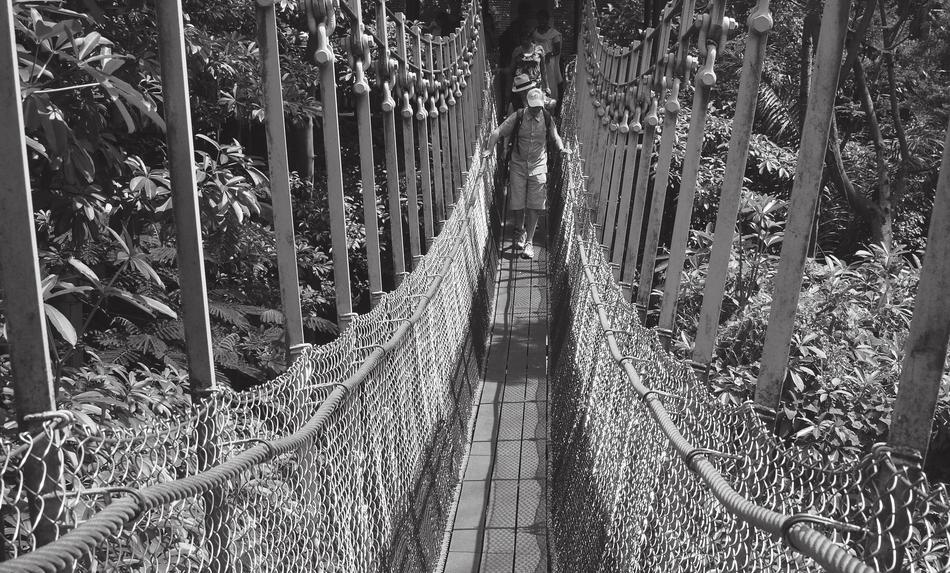 people on traditional wooden suspended bridge, singapore, Black And White