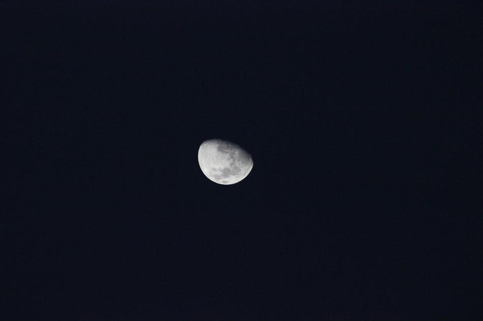 Luna Night