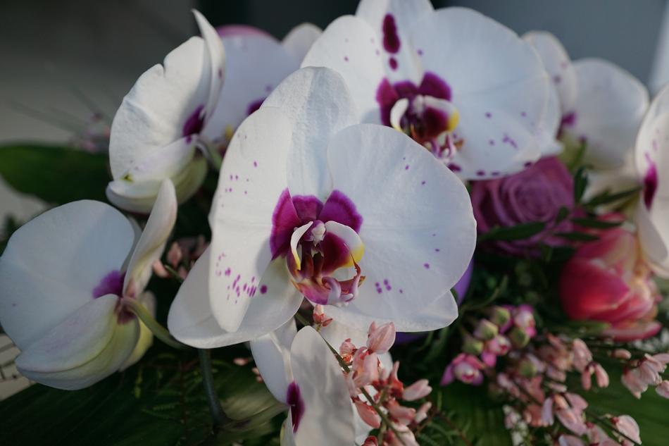Orchid Flowers Strauss
