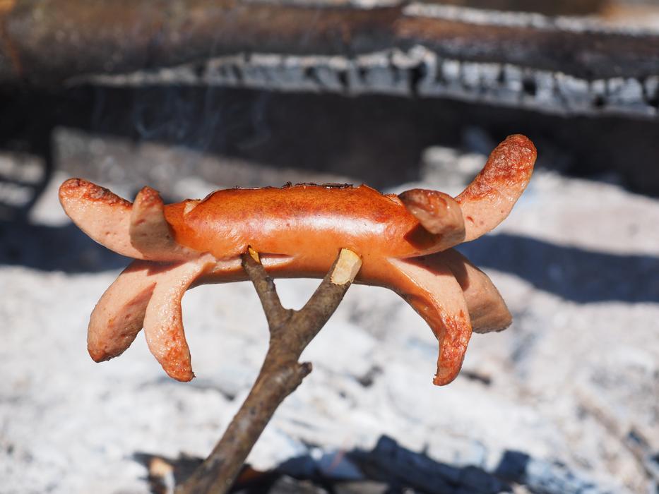 Bratwurst Grill Sausage Red