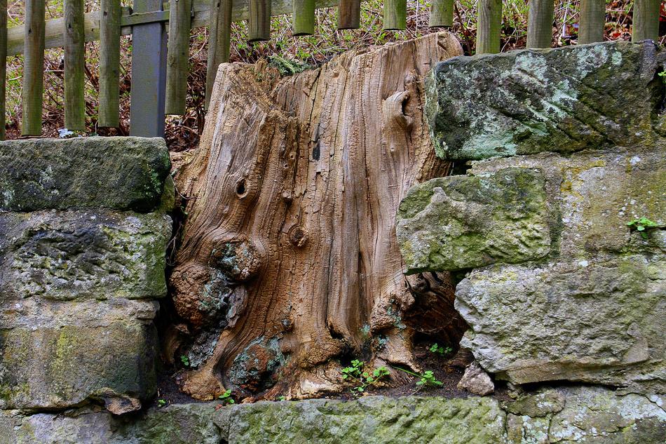 Log Wall Fence