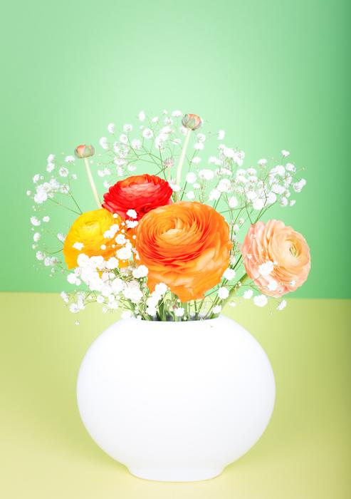 Flower Ranunculus Vase