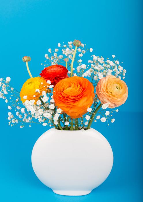 Flower Ranunculus Vase