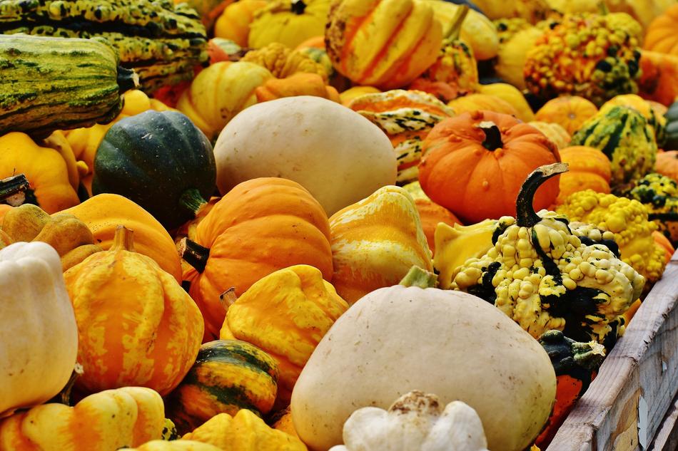 Pumpkins Autumn Decoration