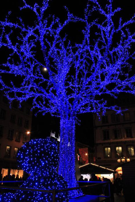 Tree Led