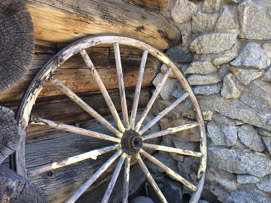 Wagon Wheel Mammoth