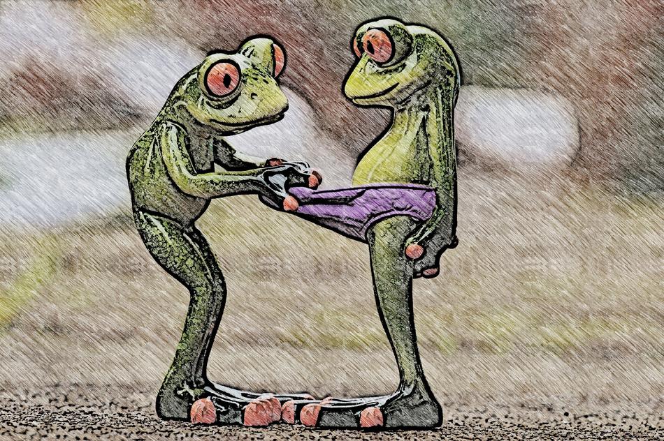 frogs drawing curious funny cute