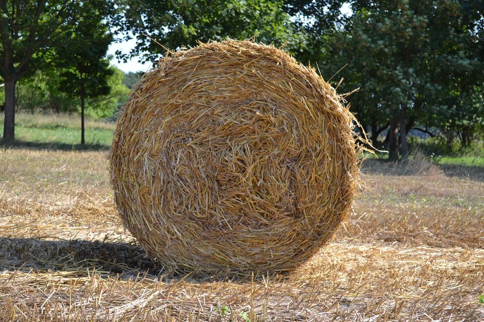 straw bale in the field