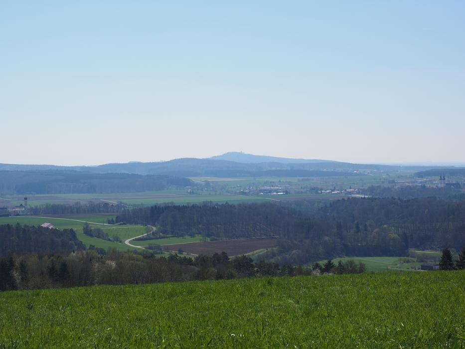 green field under a blue sky