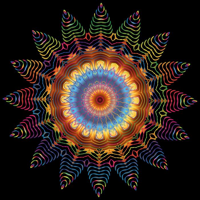 flamboyant geometric pattern