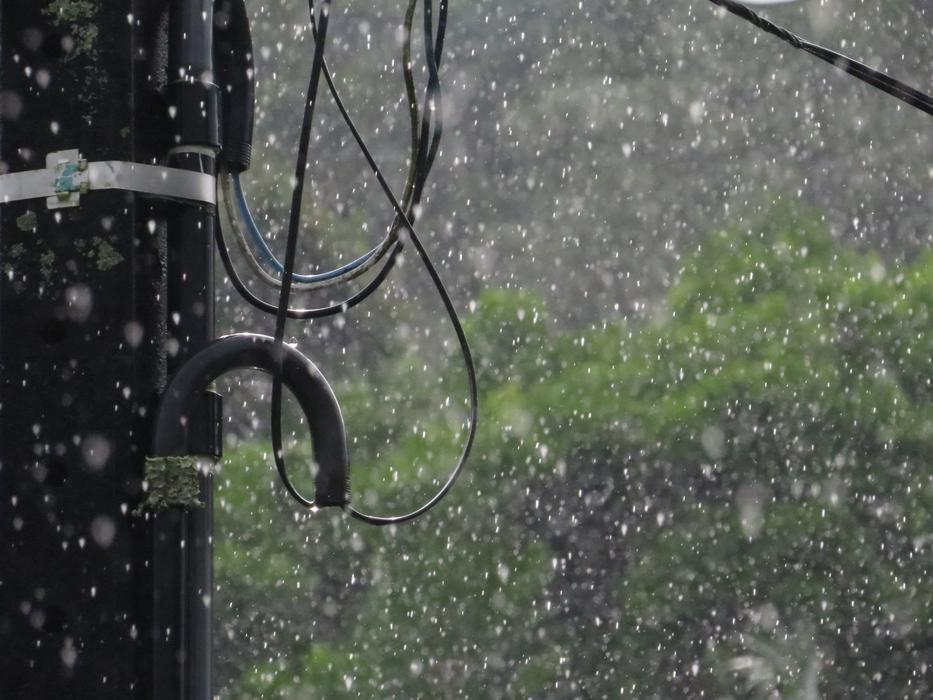 heavy rain in the woods